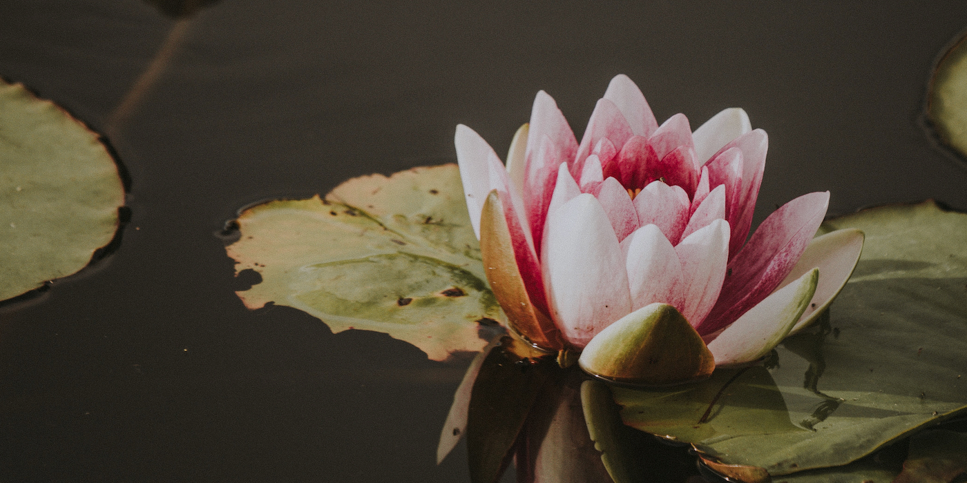 dukkha in buddhism meaning