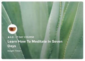 この無料の7日間のコースで瞑想することを学びます。