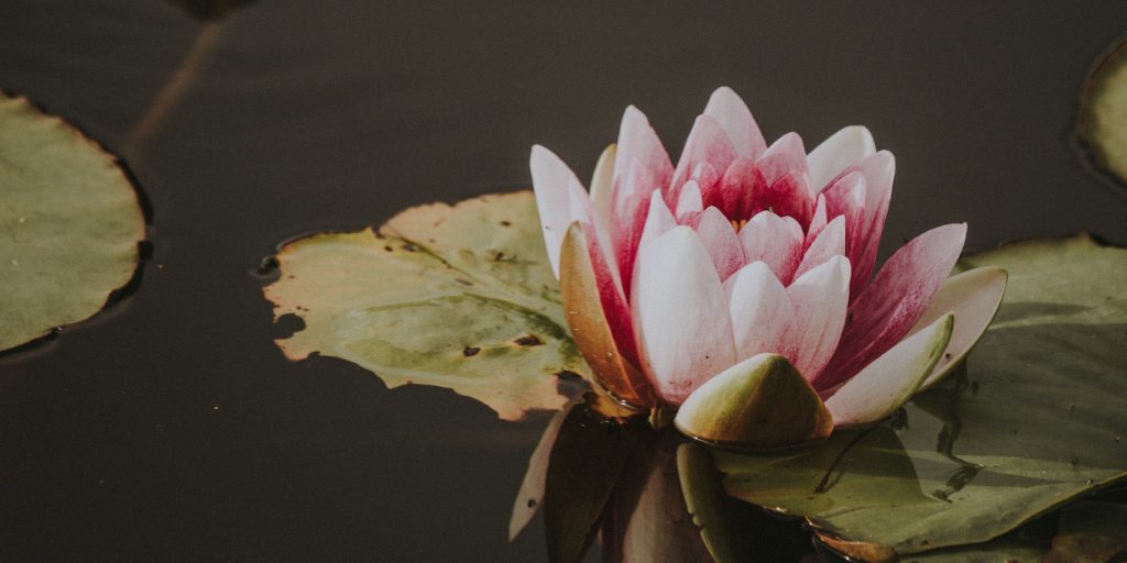 What Is Dukkha? Understanding Suffering in Buddhism