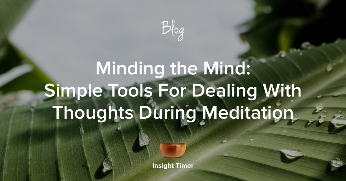 mindful mornings challenge insight timer