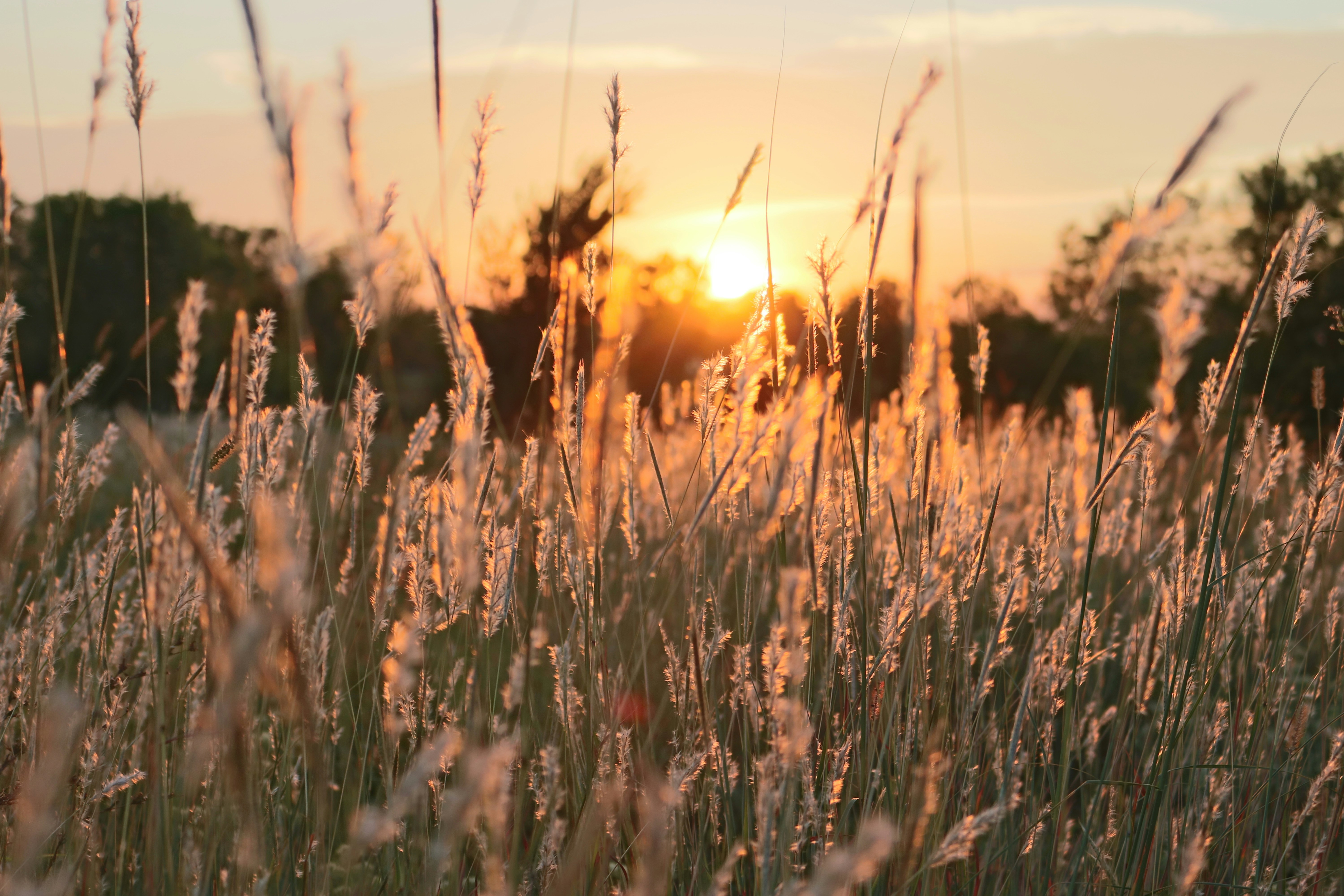 Morning Meditation: Start Your Day With Happiness and Positivity